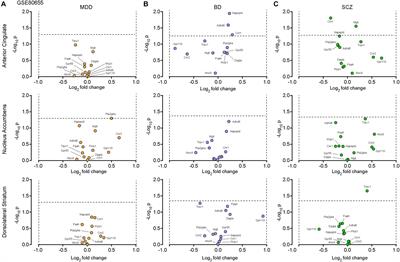 In silico analyses of the involvement of GPR55, CB1R and TRPV1: response to THC, contribution to temporal lobe epilepsy, structural modeling and updated evolution